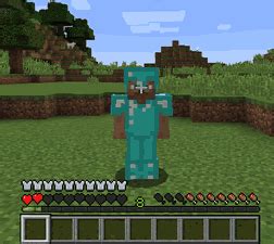 Image result for How to Put Armor On Any Mob Java