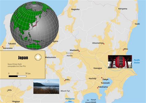 Locator Map 的图像结果