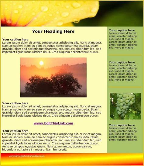 Image result for Simple Newsletter Templates