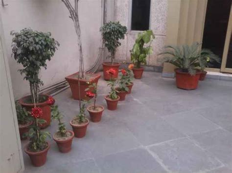 LAVA A10 - Flagship touchscreen phone with 3-inch IPS display Review