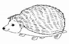 igel malvorlagen kostenlos gratis asumalbilder ausmalbilder igel igel malvorlagen kostenlos gratis asumalbilder ausmalbilder igel