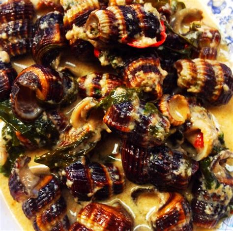 Snails & Shellfish: A Guide – Vietnam Coracle – Independent Travel Guides to Vietnam