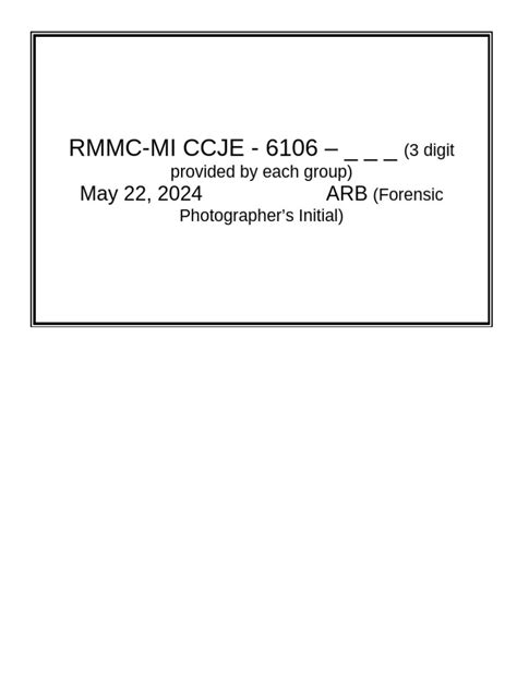Case Identifier Example 的图像结果