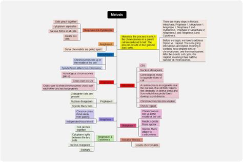 Ecosystem Concept Map Template | EdrawMind