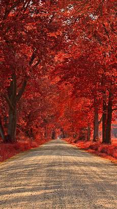 best wallpapers for iphone 40 best iphone 6 wallpapers backgrounds in hd quality best wallpapers for iphone 40 best iphone 6 wallpapers backgrounds in hd quality