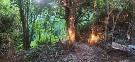 A BIRD'S VALLEY ARTHOTEL & WELLNESS SPA (Pretoria) - B&B Reviews ...