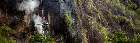 Last Forest Natural, Raw, Unprocessed, Wild Honey - Biodiversity Series ...