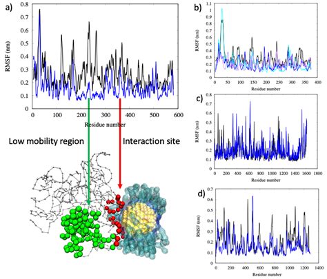Computational Insight on the Interaction of Common Blood Proteins with ...