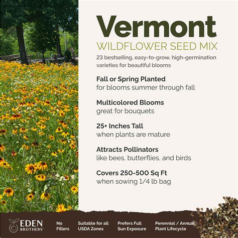 Vermont Wildflower Seed Mix | Wildflower Seeds | Eden Brothers