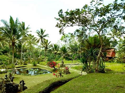 PESONA BALI HOMESTAY (Wongaya Gede) - Campground Reviews & Photos ...