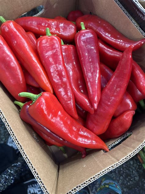 Long Red Peppers x 1 - Coxs Boxes