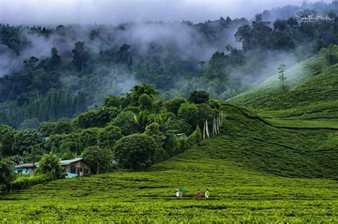 Welcome to Trust The Locals- Travel Agency in Sikkim