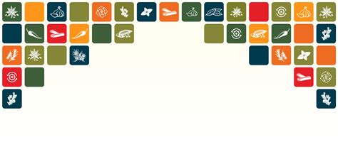 Our Process – Kesar Organics
