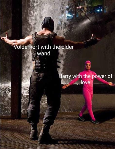 Voldemort with the Elder wand : r/HarryPotterMemes