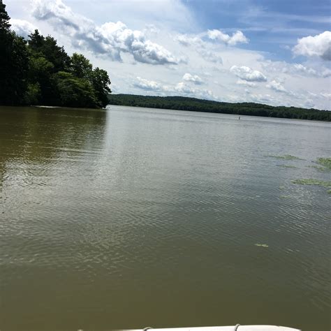 Yellow Creek Campground Camping | The Dyrt