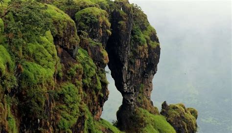 10 Wonders of Nature That You Must Know About - lifeberrys.com