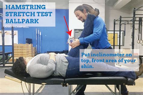 Image result for Hamstring Test