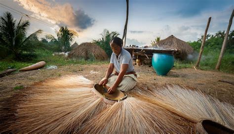 Compression Molding Process Coconut Fiber 的图像结果