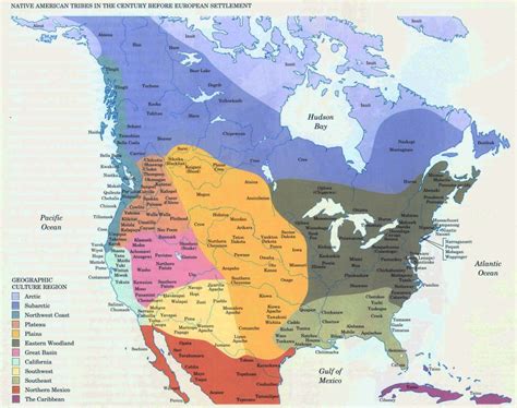 Image result for How Many Native American Before