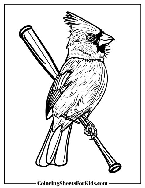 Baseball Coloring Sheets 的图像结果