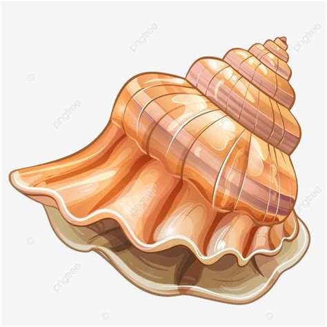 Image result for Open Sea Shell Animation