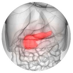 Our Progress At Celagenex