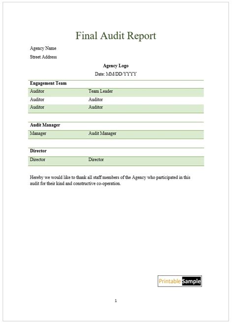 Audit Report Example 的图像结果