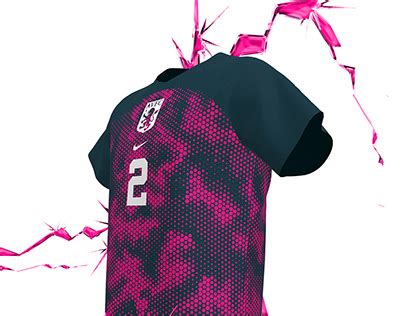 Image result for Avfc Goal Line Technology