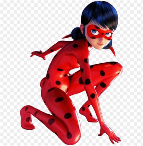 Image result for Ladybug No Background