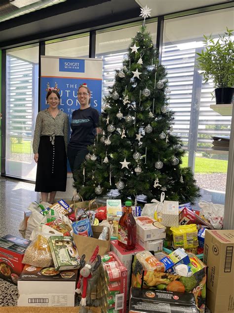 Schott MiniFAB Microarray 的图像结果