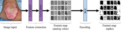 Image result for Spike Coding