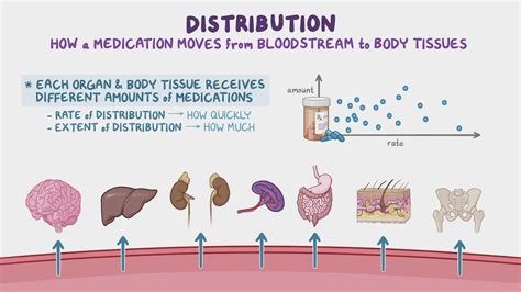 Tissue Distribution 的图像结果