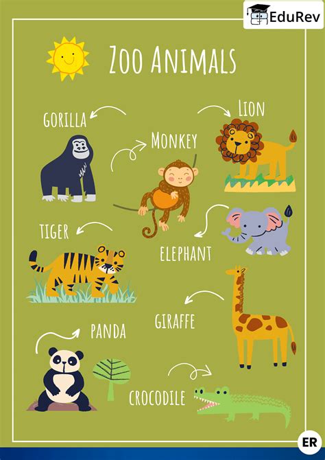 Let's Learn: Zoo Animals - English for LKG PDF Download