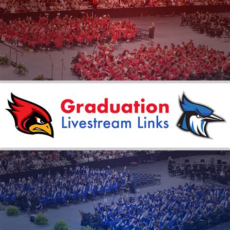 Graduation Stream 的图像结果