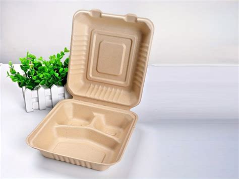 Image result for Clamshell Inside