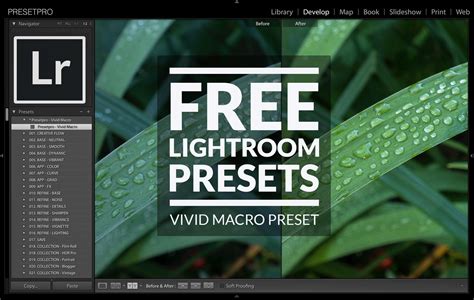 Presetpro | Free Lightroom Preset "Vivid Macro" Download!