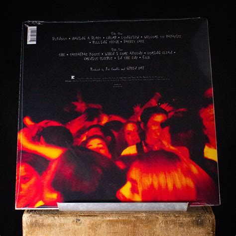 Green Day Dookie LP – Black Shag Vintage