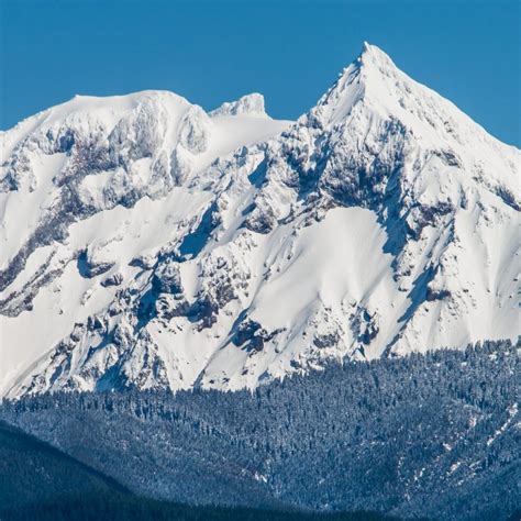 Climb Mount Garibaldi - BlackSheep Adventure