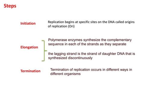 Image result for DNA Replication Class 12