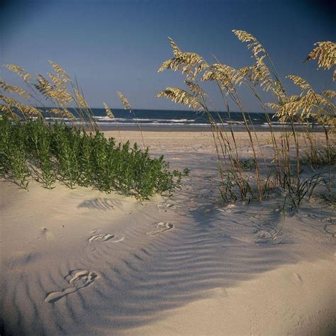 FORT MACON STATE PARK (2026) All You Need to Know BEFORE You Go (with ...