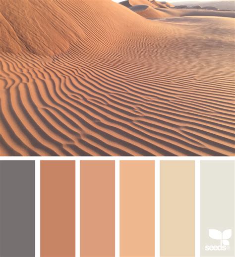 Sand Color 的图像结果
