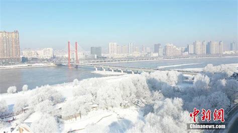 吉林城区今冬首现雾凇 这样的白美得窒息