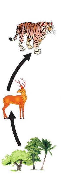 SATHEE: Our Environment