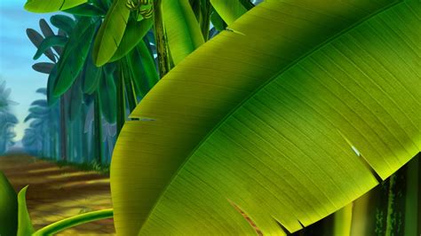 🔥 [40+] Banana Palm Wallpapers | WallpaperSafari