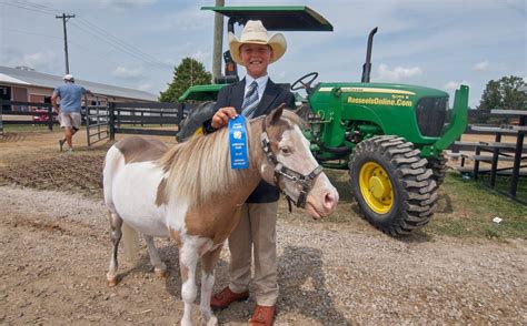 Animals, sweet treats, carnival rides and a rodeo, Armada Fair has it all – Macomb Daily
