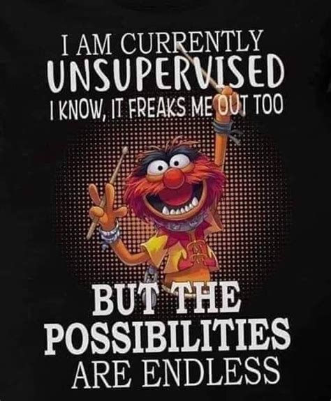 Image result for Unsupervised Meme