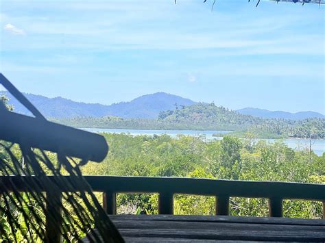 JUNGLE BAR RESTAURANT & HUT (Port Barton, Palawan Island) - Guesthouse ...