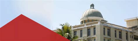 Our Policies - Adypu