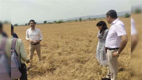 Rajasthan: ओलावृष्टि और अंधड़ ने किसानों की सालभर की मेहनत कर दी खराब ...