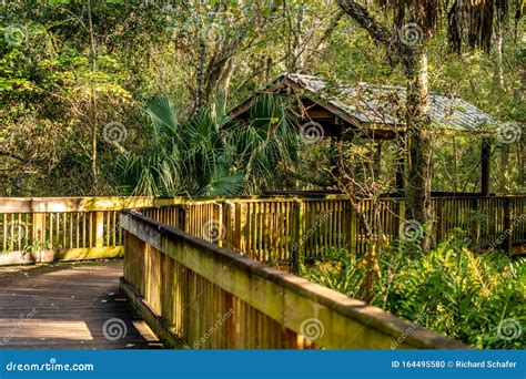 Sawgrass Lake Park stock photo. Image of pads, landscape - 164495580